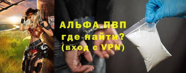 сатива Аркадак
