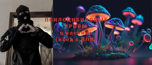 спайс Алексин