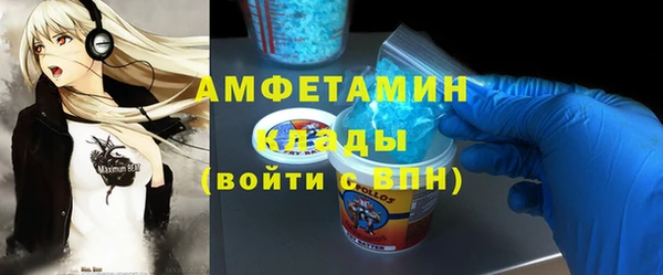 сатива Аркадак