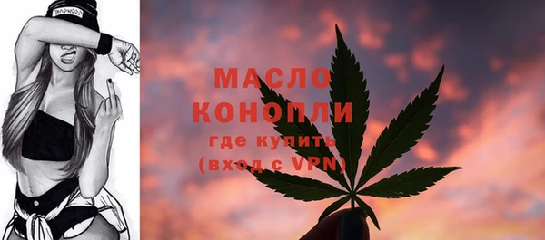 сатива Аркадак