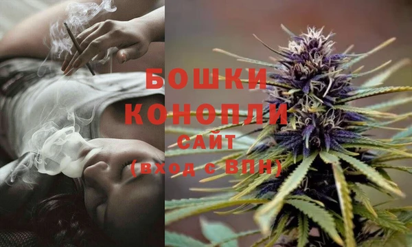 PSILOCYBIN Армянск