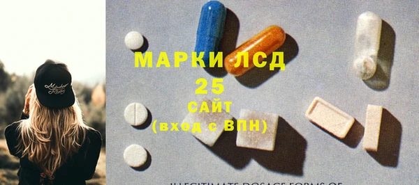 сатива Аркадак
