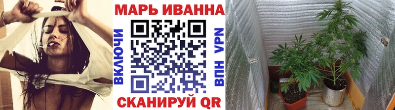 хочу   Аркадак  Каннабис Amnesia 